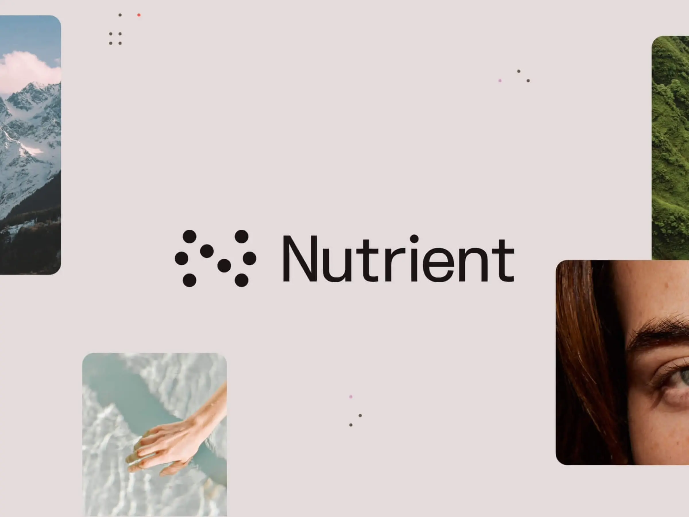 Nutrient's Custom Webflow Build