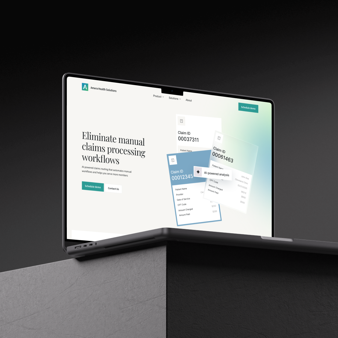 Project showcase